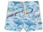 Molo Shorts met grafische print Blauw - Thumbnail 1