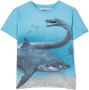 Molo T-shirt met print Blauw - Thumbnail 1