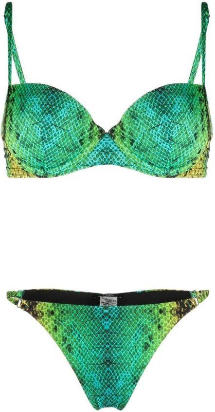 Noire Swimwear Bikini met slangenprint Groen