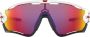 Oakley Hoodie voor Heren Blijf warm en stijlvol Purple Heren - Thumbnail 1