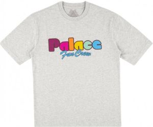 Palace T-shirt met korte mouwen Grijs