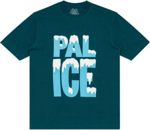 Palace T-shirt met print Groen