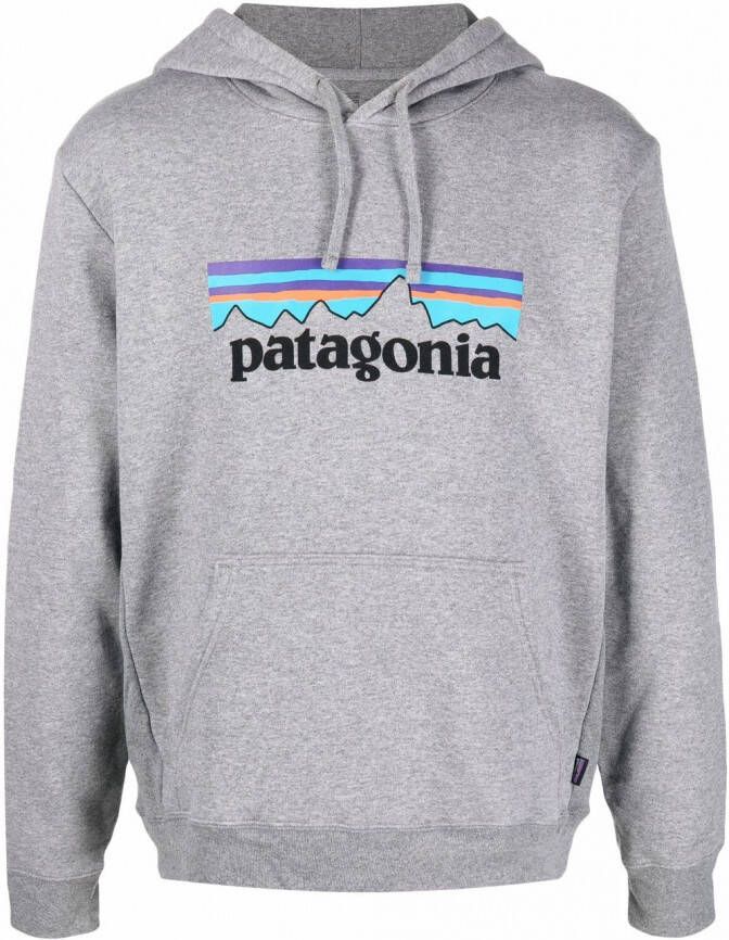 Patagonia Hoodie met logoprint Grijs