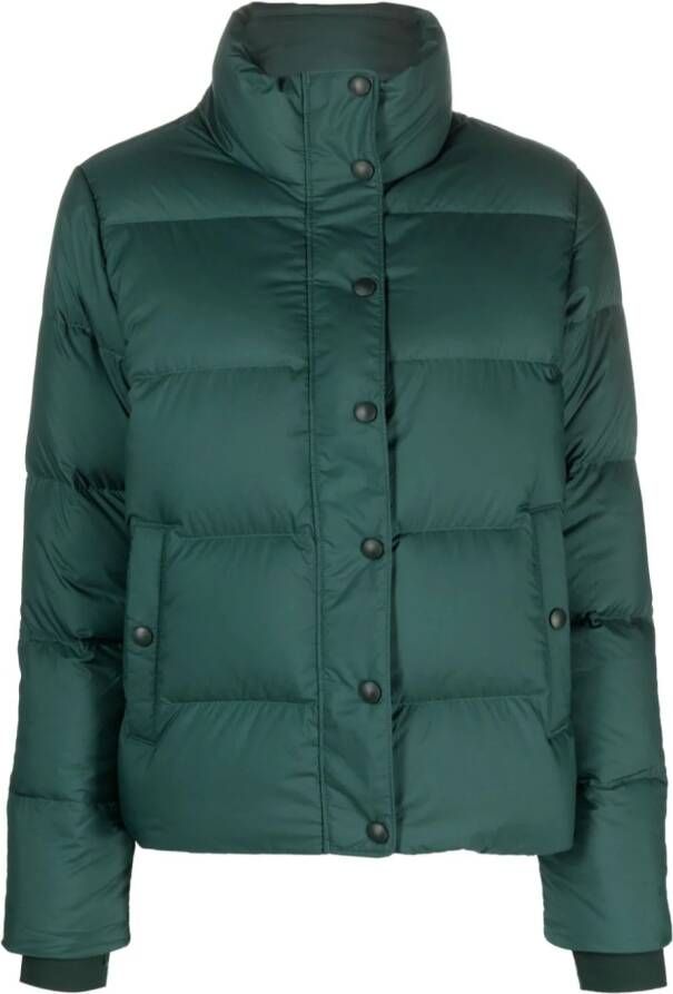 Patagonia Jack met drukknopen Groen