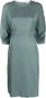 Peserico Midi-jurk met gestrikte taille Groen - Thumbnail 1