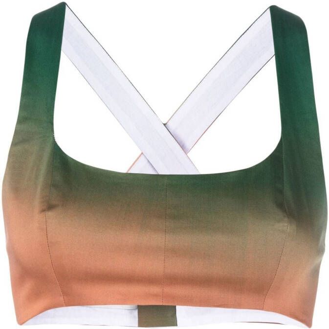 Philosophy Di Lorenzo Serafini Cropped top Bruin
