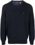 Polo Ralph Lauren Trui met geborduurd logo Blauw - Thumbnail 1