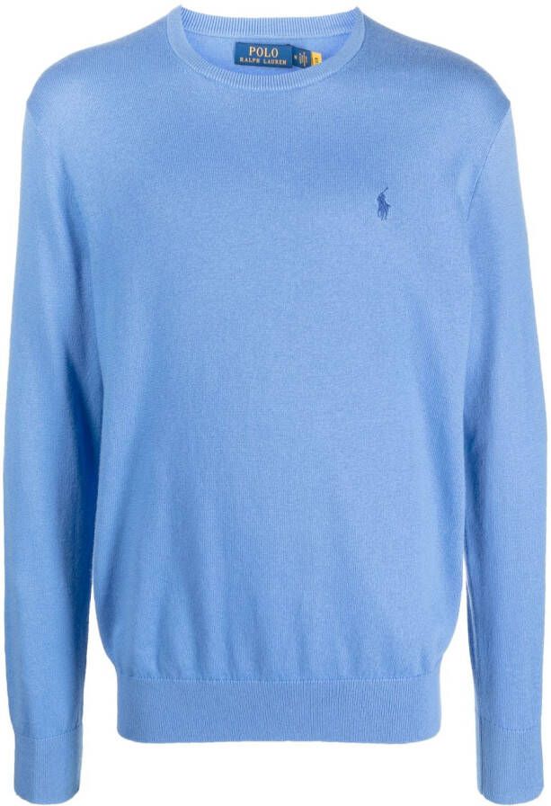 Polo Ralph Lauren Hoodie met geborduurd logo Blauw