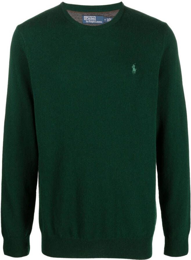 Polo Ralph Lauren Trui met borduurwerk Groen