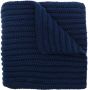 Polo Ralph Lauren Ribgebreide sjaal Blauw - Thumbnail 1