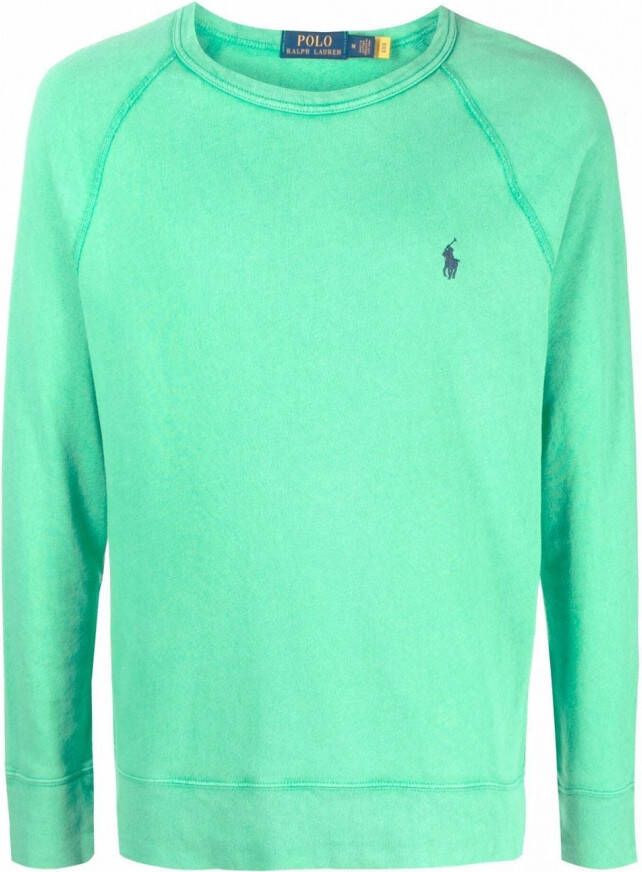 Polo Ralph Lauren Sweater met borduurwerk Groen