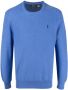 Polo Ralph Lauren Sweater met geborduurd logo Blauw - Thumbnail 1