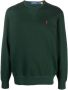 Polo Ralph Lauren Sweater met ronde hals Groen - Thumbnail 1