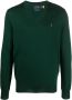 Polo Ralph Lauren Trui met V-hals Groen - Thumbnail 1