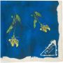 Prada Sjaal met bloemenprint Blauw - Thumbnail 1