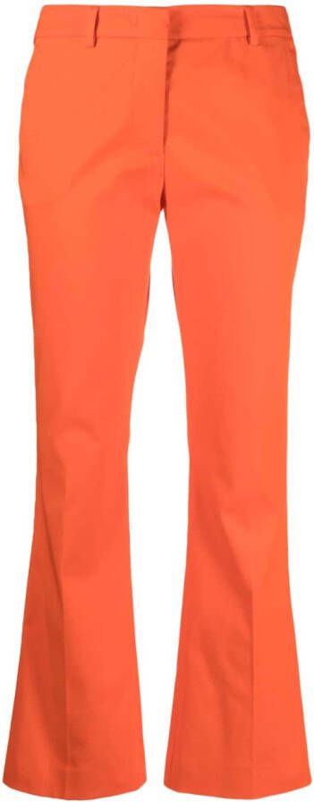 PT Torino Flared broek Oranje