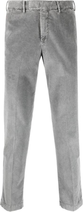 PT Torino Ribfluwelen broek Grijs