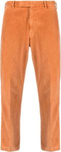 PT Torino Ribfluwelen broek Oranje