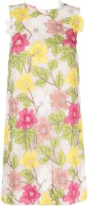 Rachel Gilbert Mini-jurk met borduurwerk Veelkleurig