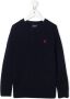 POLO RALPH LAUREN KIDS Kabelgebreide trui Blauw - Thumbnail 1