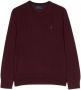 POLO RALPH LAUREN KIDS Katoenen trui Rood - Thumbnail 1