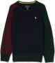 POLO RALPH LAUREN KIDS Trui met print Blauw - Thumbnail 1