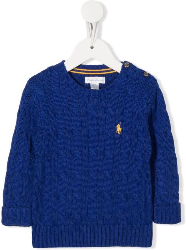 Ralph Lauren Kids Trui met borduurwerk Blauw
