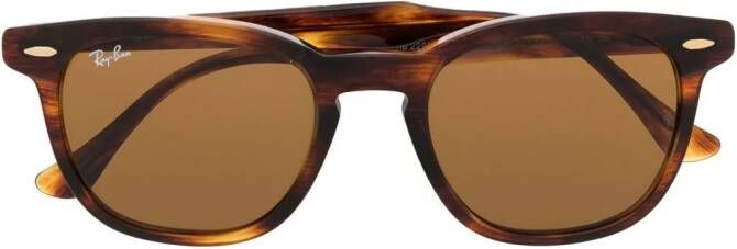 Ray-Ban Hawkeye zonnebril met wayfarer montuur Bruin