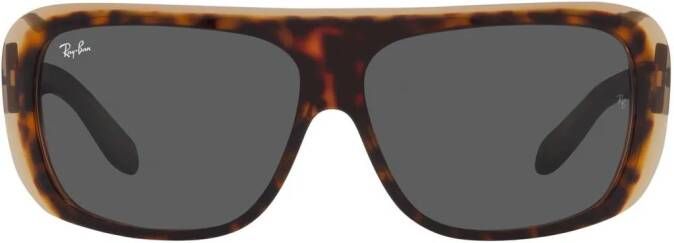 Ray-Ban Blair zonnebril Zwart