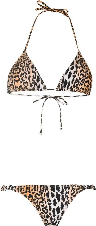 Reina Olga Bikini met luipaardprint Zwart