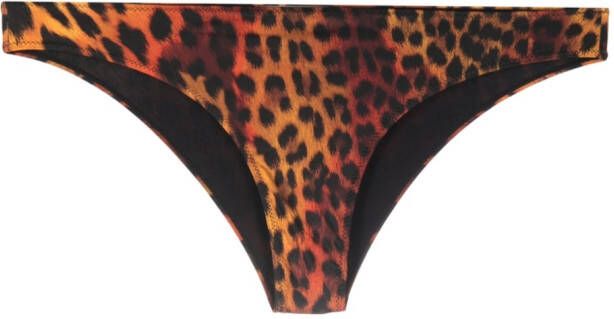 Roberto Cavalli Bikinislip met luipaardprint Zwart