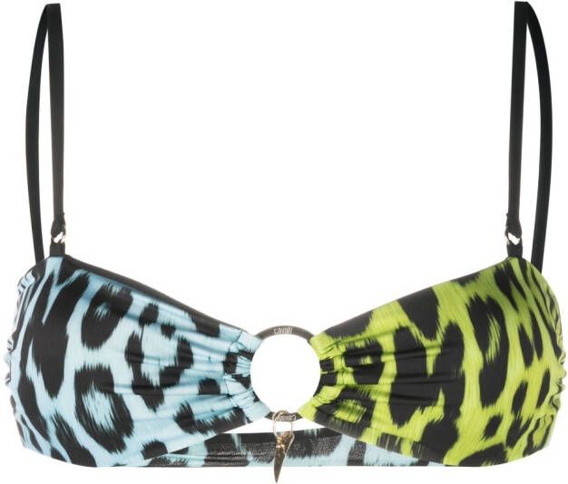Roberto Cavalli Bikinitop met luipaardprint Blauw