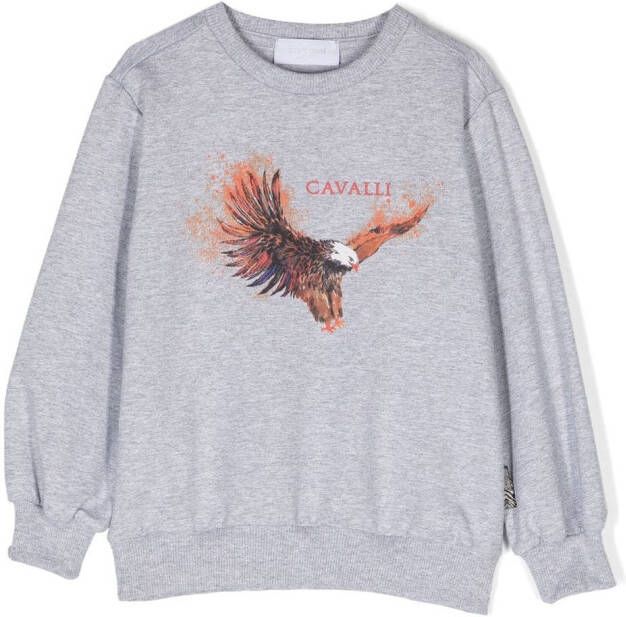 Roberto Cavalli Junior Sweater met grafische print Grijs