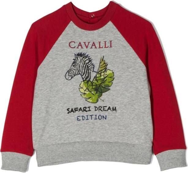 Roberto Cavalli Junior Sweater met grafische print Rood