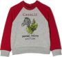 Roberto Cavalli Junior Sweater met grafische print Rood - Thumbnail 1