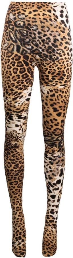 Roberto Cavalli Legging met tijgerprint Beige