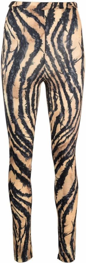 Roberto Cavalli Legging met zebraprint Zwart