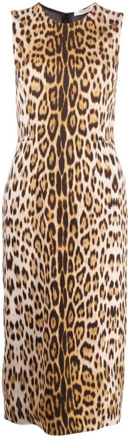 Roberto Cavalli Midi-jurk met luipaardprint Beige