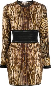 Roberto Cavalli Mini-jurk met luipaardprint Bruin