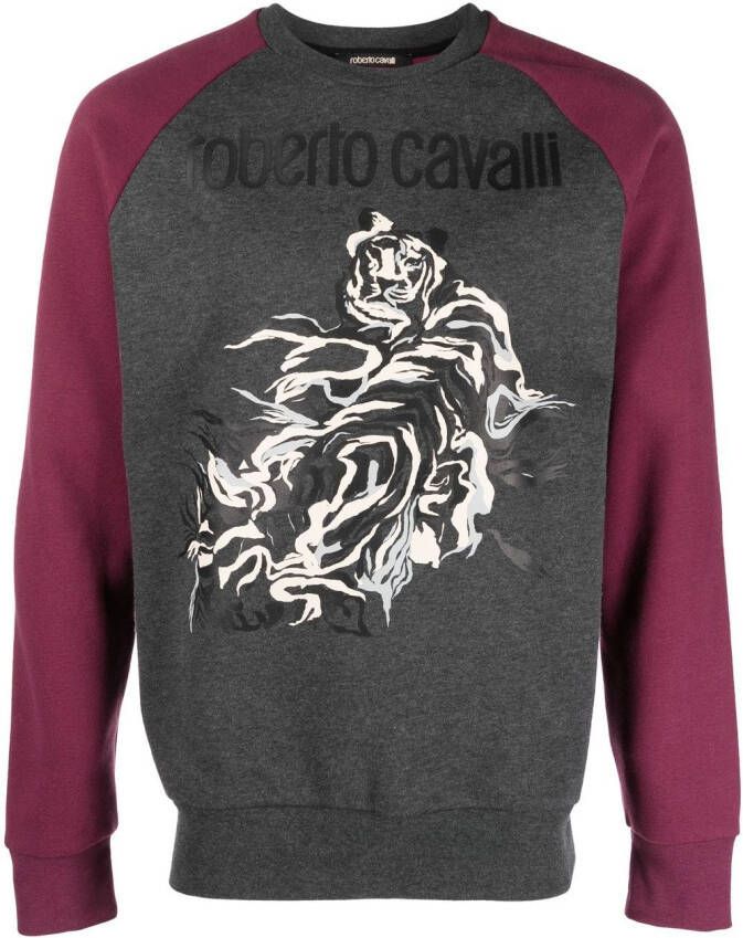 Roberto Cavalli Sweater met grafische print Grijs