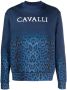 Roberto Cavalli Sweater met luipaardprint Blauw - Thumbnail 1