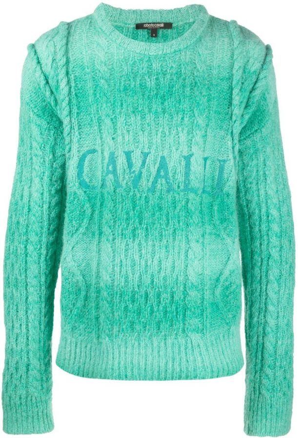 Roberto Cavalli Trui met geborduurd logo Grijs
