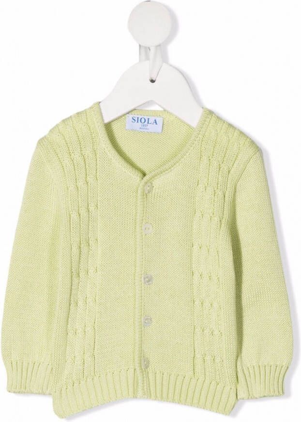 Siola Gebreid vest Groen