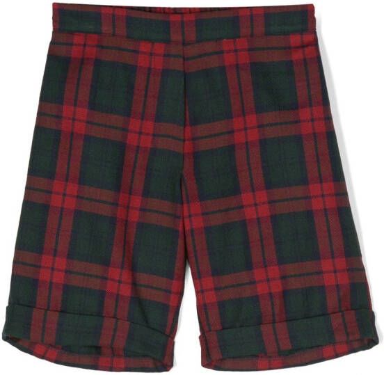 Siola Shorts met tartan ruit Groen