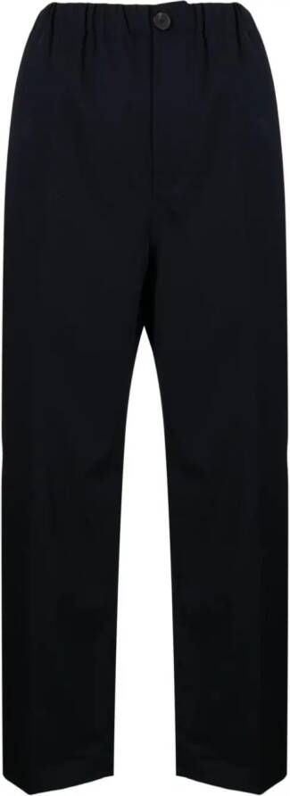 Sofie D'hoore cropped wool trousers Blauw