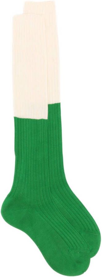 Sofie D'hoore Tweekleurige sokken Groen
