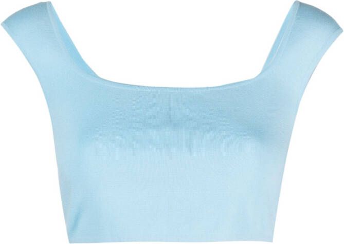 Sportmax Mouwloze top Blauw