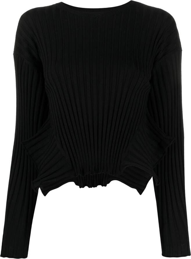 Stella McCartney Ribgebreide trui Zwart