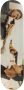 Supreme Skateboard met print Wit - Thumbnail 1