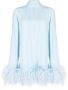 Taller Marmo Jurk met verendetail Blauw - Thumbnail 1